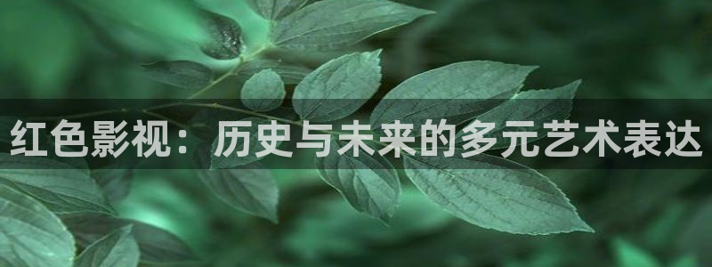理論片免費網站